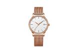 Stones Mesh Band Stainless Steel Ladies Watch With 30M Water Resistant