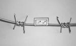 Single Strand Twist Barbed Wire Hot Dipped Galvanized Barbed Fence Airport Fence