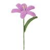 Buy cheap Knited Pile Handmade Crochet Tulip Bouquet Faux Floral Table Decor for Valentine's/Gift Variety Tulip from wholesalers