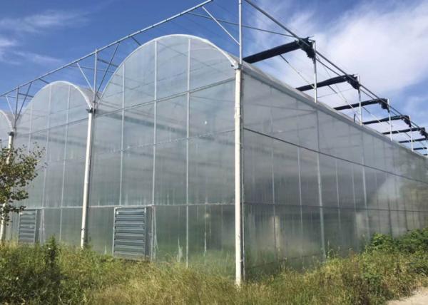 Buy cheap Agricultural Multi Span 10m 200 Micron Ldpe UV Film Greenhouse from wholesalers