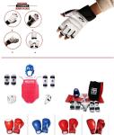EN71 certified Martial Arts Training Equipment Taekwondo Protective Gear