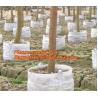 Buy cheap Potato Grow Biodegradable Garden Bags Vegetable Patio Container Pp Fabric Leaf Waste from wholesalers