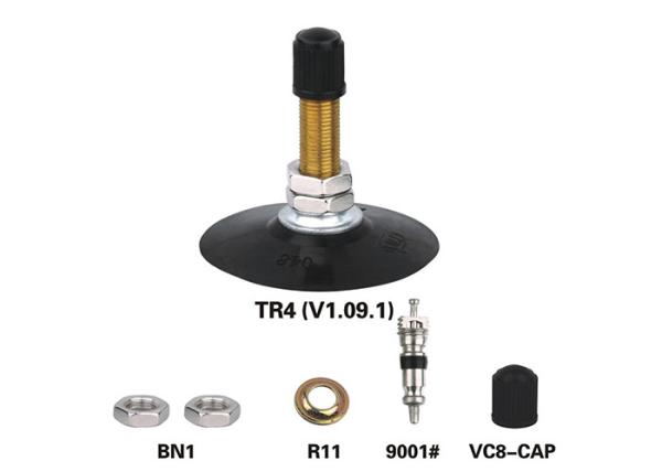 Buy cheap TR4 V1.09.1 Tube Valve Stem Base , Motorcycle Tire Valve Environmental Protection from wholesalers