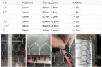 Lowest price China direct factory pvc coated hexagonal wire mesh green plastic