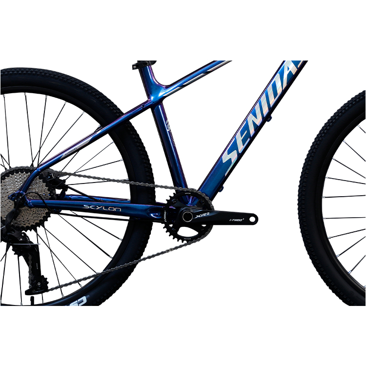 27.5 29 Bicycle Marlin 10 Speed Customized Adult Mountain Bike with and Ordinary Pedal