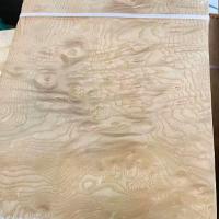 Buy cheap 0.50mm Paper Backed Veneer Natural American White Ash Burl Wood Coverings product