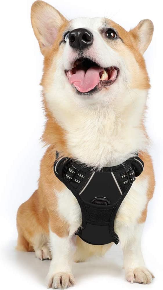 Reflective Strips Lightweight Small Dog Harness / Security Trail Running Dog Harness
