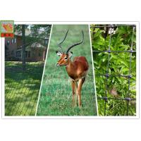 Buy cheap BOP Deer Netting, Deer Fence Netting, Plastic Netting, UV Protected, 100 Feet product