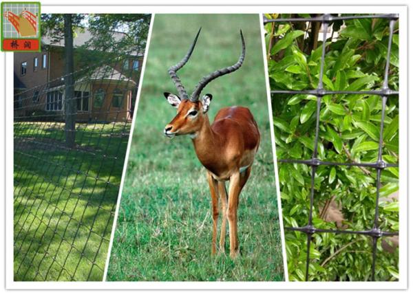 Buy cheap BOP Deer Netting, Deer Fence Netting, Plastic Netting, UV Protected, 100 Feet Length from wholesalers