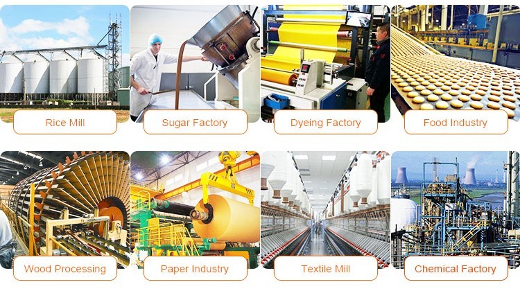 Manual Operate 1ton 2ton 3ton 4ton Steam Capacity Biomass Wood Steam Boiler With 10bar