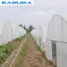 Buy cheap UV Resistance Hot Dipped Steel Frame Single Span 10m Tunnel Plastic Greenhouse from wholesalers