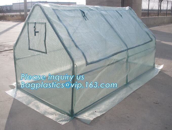 high quality tunnel single span galvanized arch green houses,Plant Large Walk in Greenhouse with Clear Cover for garden