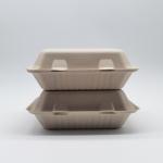 900ml Eco Friendly Disposable Bento Box