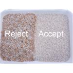 Japonica Glutinous Parboiled Rice Mini Color Sorter Optical