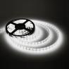 Buy cheap White LED strip Led light strip flexible 5050 300SDM 5M meter LEDs 60LEDs/m from wholesalers