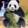 Buy cheap Realistic Robotic Animals Animatronic Panda For Amusement Park from wholesalers