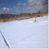 Buy cheap 300GSM Geotextile Polypropylene / Polyester Material Non Woven Needle Punched from wholesalers