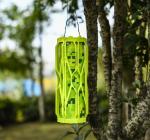 Sticky Insect Flying Trap for Catching Insects in Garden Sustainable