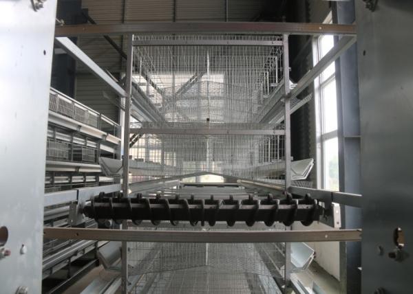 Buy cheap Automatic Layer Chicken Cage Hen Poultry Cage Construction For Farm from wholesalers