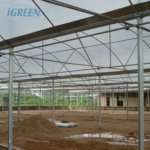 200 Micron Plastic Film Greenhouse Shade Cloth Roof Height 7 Meters for Strawberry