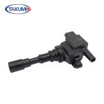 Alternator Car Ignition Coil 27300-39700 For Huatai Terracan 3.5L Hyundai Santa