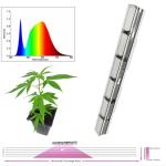 Linear Design Waterproof LED Grow Light Bar 600W High Power For Green House