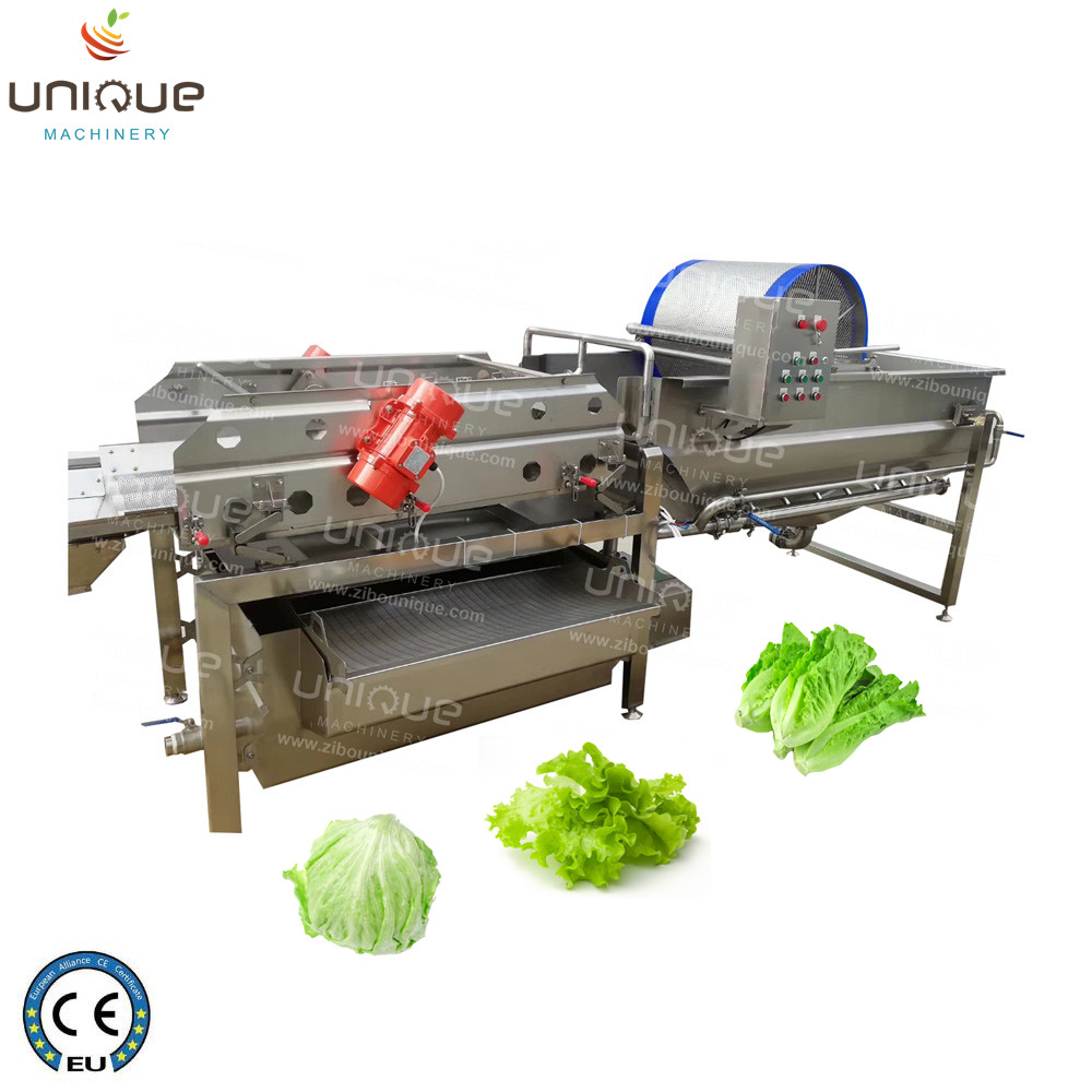 Stainless Steel 4.4KW Cabbage Washing Machine for Vegetable and Salad Sterilization