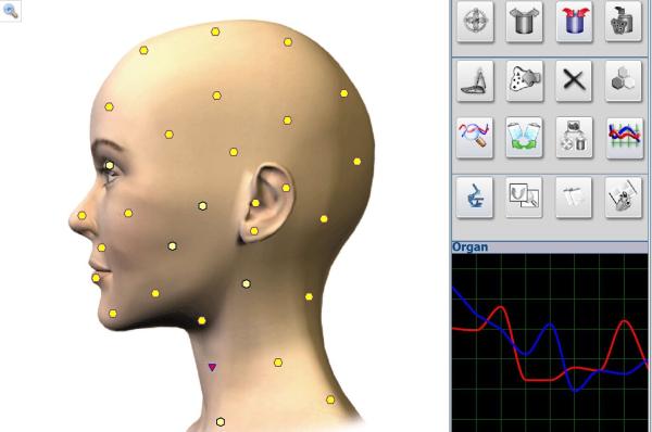 Buy cheap Health Care Products Metatron NLS Body Analyzer Herbal Treatment Equipment for Home / Hospital from wholesalers