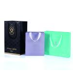 Custom Paper Cardboard Shopping Bags With Your Own Logo Offset Printing