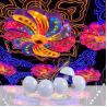Buy cheap 50mm 5050RGB LED Amusement Park Lighting 2W DC12V Decoration Lighting from wholesalers