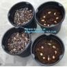 Buy cheap Plants With Drainage Hydroponic Growing Pot Bucket For Greenhouse, Dutch Bucket, Flower Nursery Pots, Balcony Garden from wholesalers