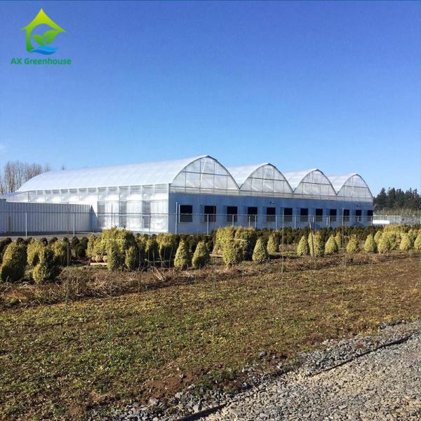 Buy cheap Glass Cover Blackout Multi Span Greenhouse Gutter Connect Strawberry Plant Greenhouse from wholesalers