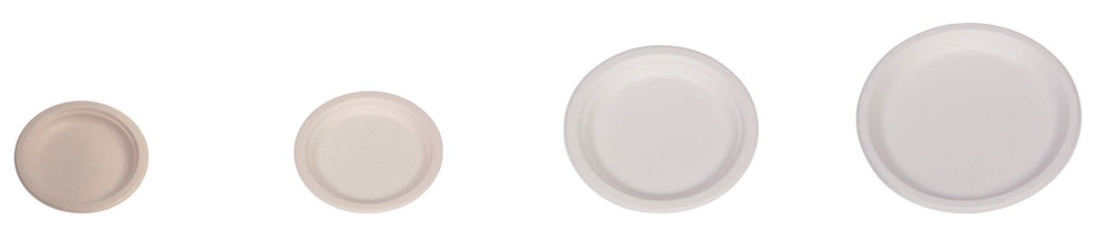 9inch Microwave Compostable Party Plates Sugarcane Fibre Tableware