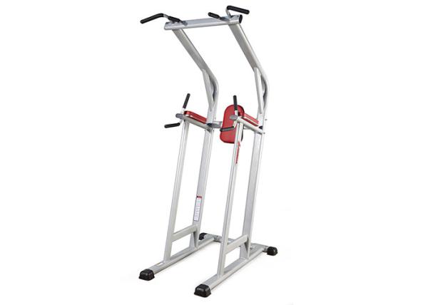 Buy cheap Life Fitness Commercial Gym Equipment Strength Assisted Chin Dip Leg Raise Machine from wholesalers