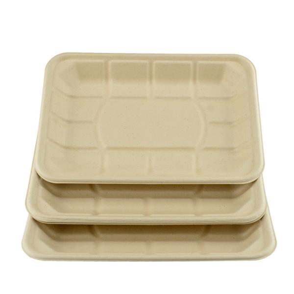 Buy cheap Sugarcane Bagasse Compostable Paper Food Tray 8*6inch eco-friendly 100% biodegradable from wholesalers