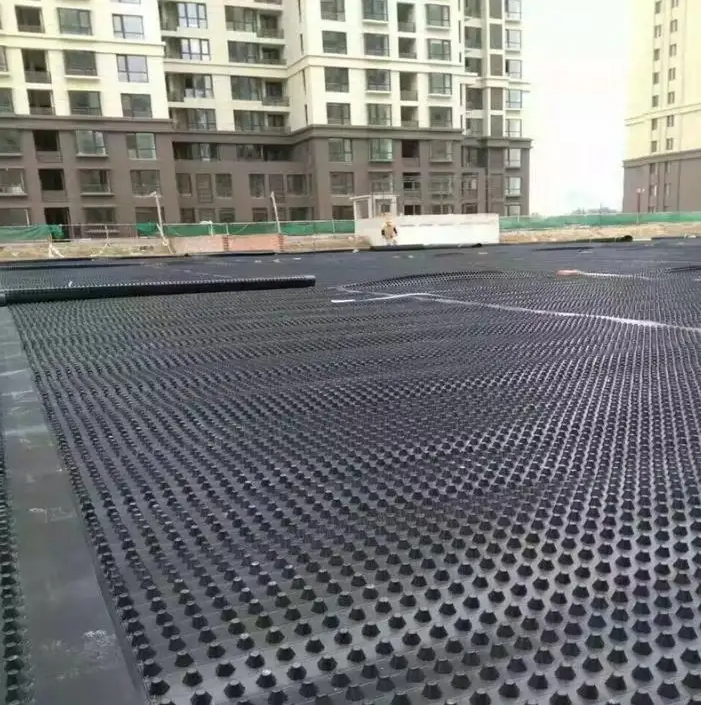 20mm Dimple Drain Sheet for Roof Garden and Retaining Wall in Modern Design Style