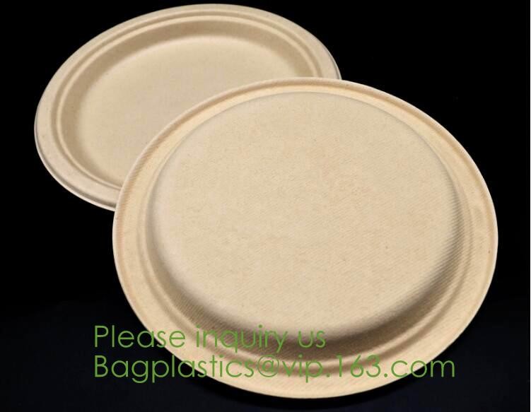 Food Eco Friendly Dinnerware Fruit Snack Biodegradable Corn Starch PLA Foamed