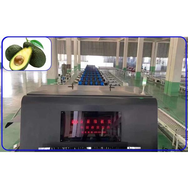 Buy cheap Industrial Avocado Fruit Grading Machine Intelligent 3 Channel 380V from wholesalers