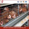 Buy cheap 380V 5 Tier Automatic Chicken Layer Cage Equipment for Laying Eggs Ada from wholesalers