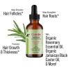 Buy cheap Private Label Homemade Herbal Vegan Olive Jojoba Castor Rosemary Avocado And Peppermint Hair Growth Oil For Men Coconut Oil from wholesalers