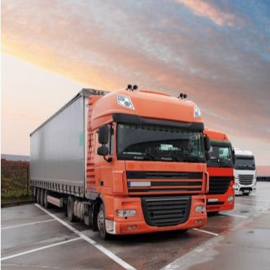 Ddp Sea Shipping Dhl Fedex From China Shanghai To Spain Luxembourg Portugal