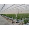 Buy cheap 1.5-5mm Colorful Banana Pepper PP Twine Rope For Tomato Garden Agriculture from wholesalers