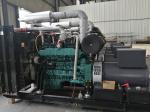 Steyr Engine CBM CNG Gas Generator 1800RPM LNG Generator