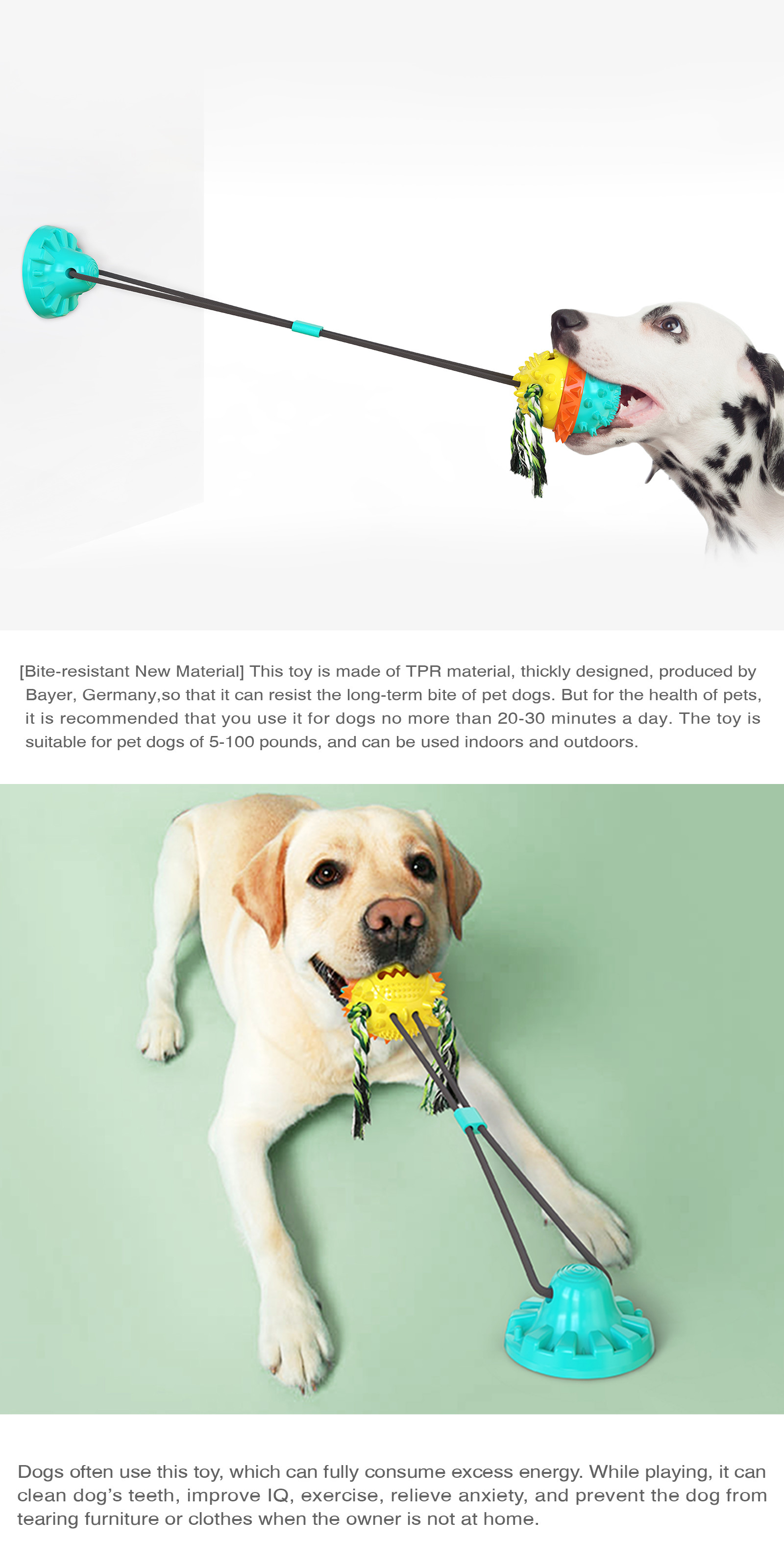Grind Teeth Dog Bite Training Toys OEM Dog Toy Suction To Floor