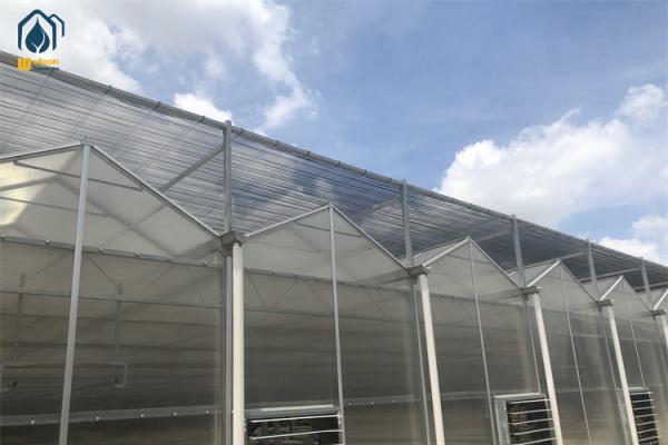 Buy cheap Double Wall PC Polycarbonate Greenhouse Farming Steel Frame Greenhouse from wholesalers