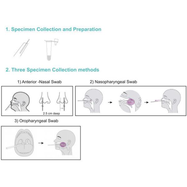 ISO9001 SARS-CoV-2 Rapid Self Home Antigen Test Kit 10 Tests/Kit Specificity 100%
