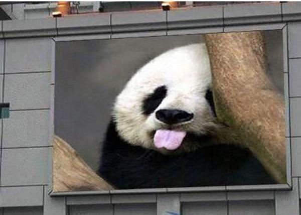 Buy cheap Portable Advertising Mobile Outdoor Full Color Led Display High Defination from wholesalers