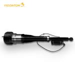 2213201438 Air Suspension Strut Rear Right For Benz S Class 2213205613