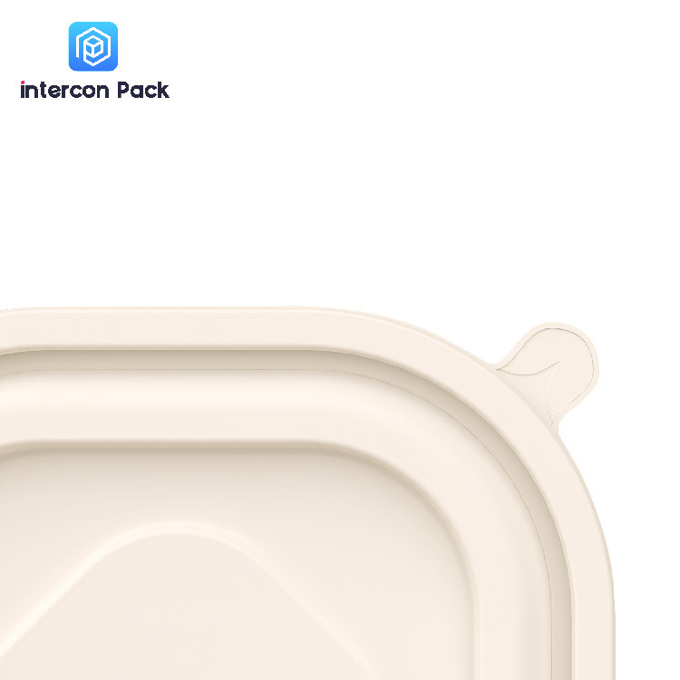 Ovenable Paper Food Tray With Lid 540ml Sugarcane Bagasse Matrial