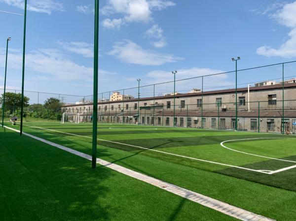 China Artificial Football Pitches 8000-15000 Dtex Efficient Drainage Rubber